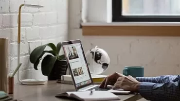 Person working on a laptop at a desk with a globe and plant.