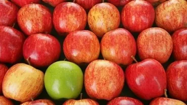 Several red apples with one green apple in the center.