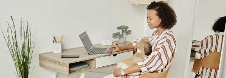 Person at desk with laptop and dog on lap