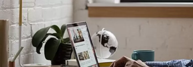 Person working on a laptop at a desk with a globe and plant.