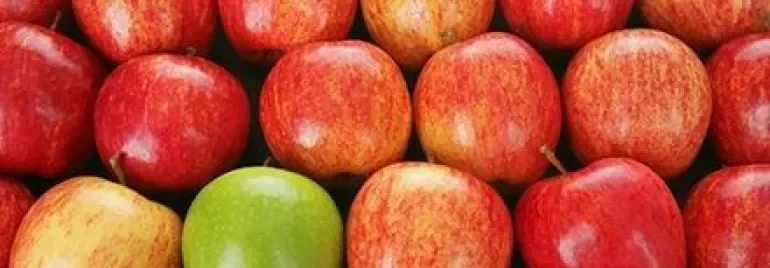 Plusieurs pommes rouges avec une pomme verte au centre.
