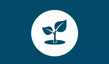 Icon of a young plant with leaves in a circle.